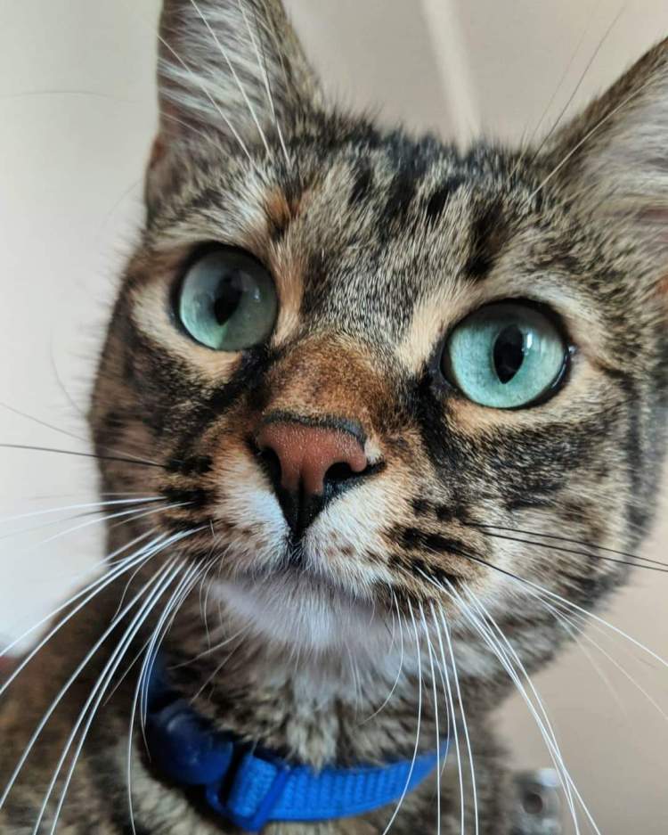 fb_img_1548151368305